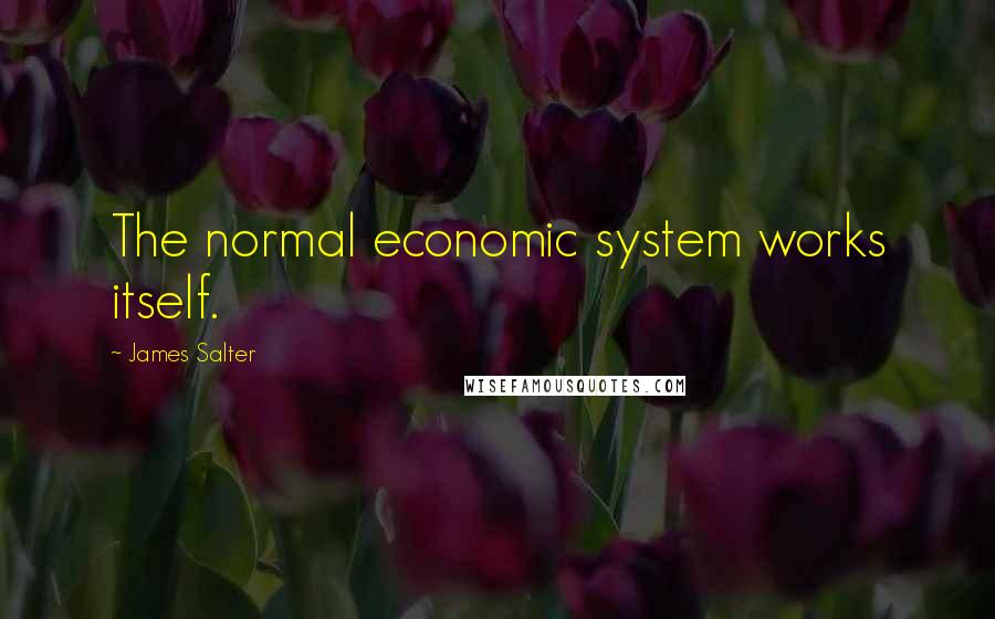 James Salter Quotes: The normal economic system works itself.