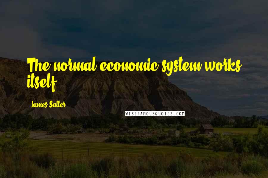 James Salter Quotes: The normal economic system works itself.