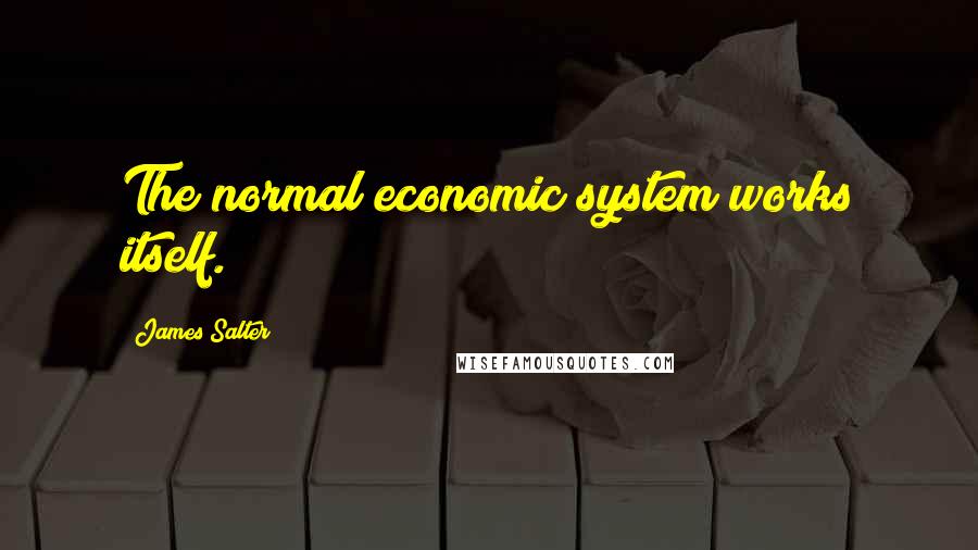 James Salter Quotes: The normal economic system works itself.