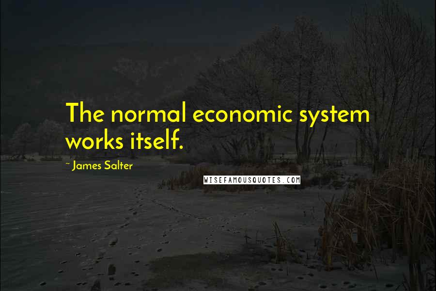 James Salter Quotes: The normal economic system works itself.