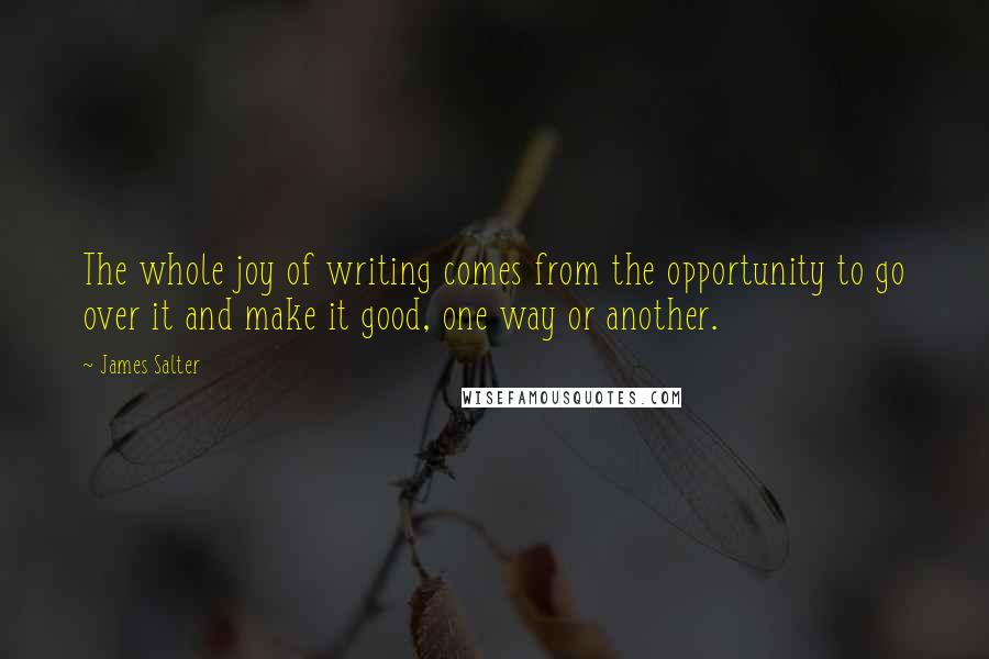 James Salter Quotes: The whole joy of writing comes from the opportunity to go over it and make it good, one way or another.