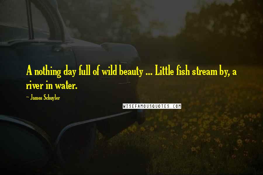 James Schuyler Quotes: A nothing day full of wild beauty ... Little fish stream by, a river in water.