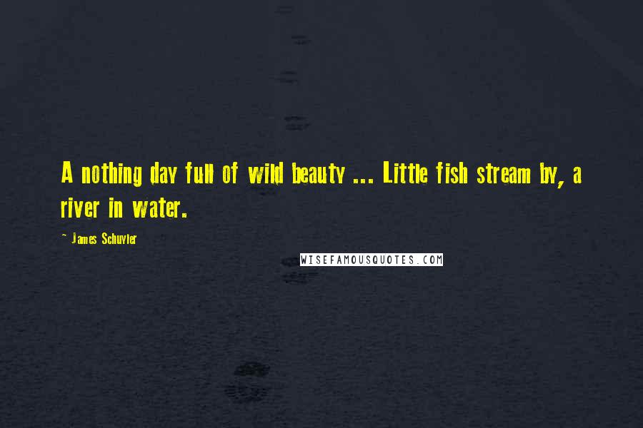 James Schuyler Quotes: A nothing day full of wild beauty ... Little fish stream by, a river in water.