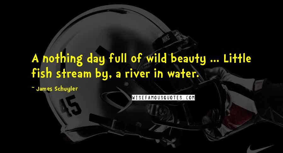 James Schuyler Quotes: A nothing day full of wild beauty ... Little fish stream by, a river in water.