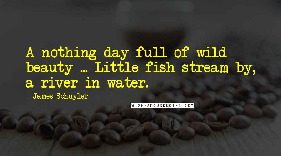 James Schuyler Quotes: A nothing day full of wild beauty ... Little fish stream by, a river in water.