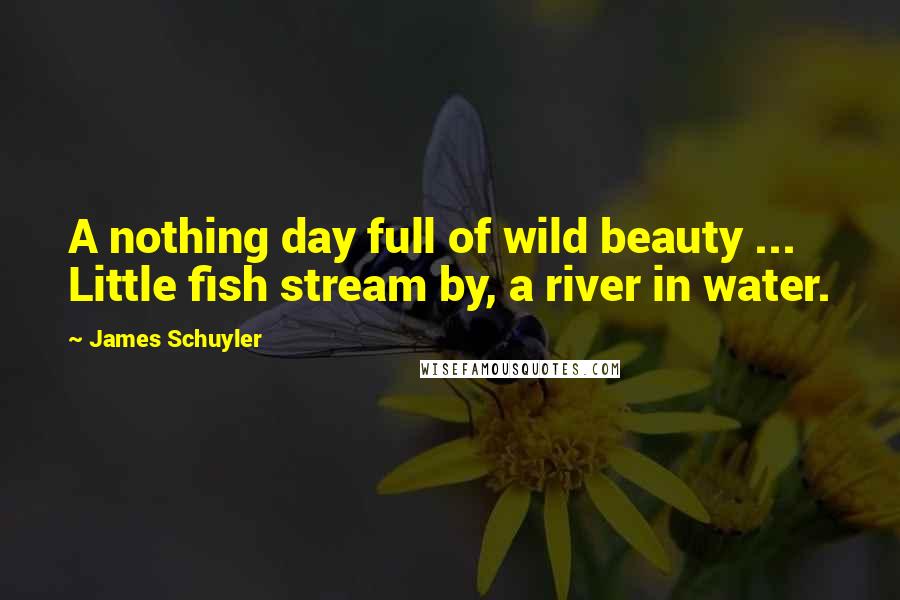 James Schuyler Quotes: A nothing day full of wild beauty ... Little fish stream by, a river in water.