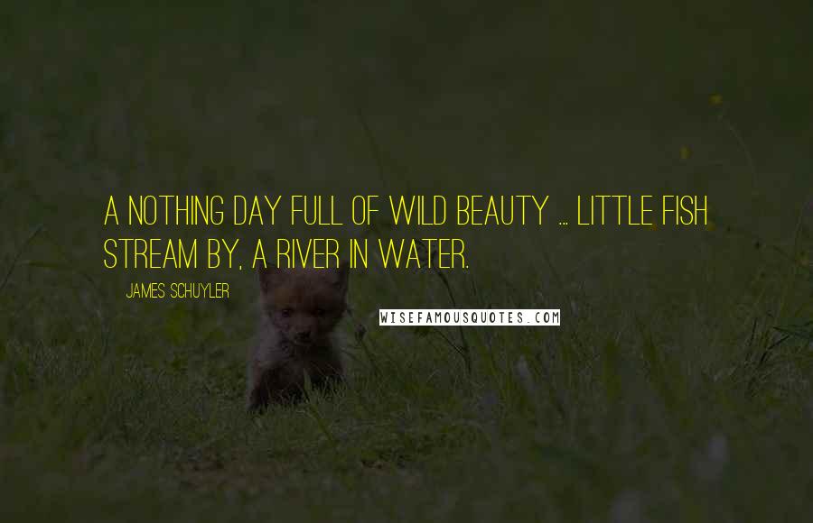 James Schuyler Quotes: A nothing day full of wild beauty ... Little fish stream by, a river in water.