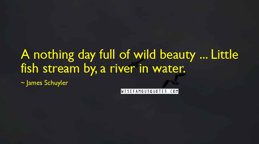 James Schuyler Quotes: A nothing day full of wild beauty ... Little fish stream by, a river in water.