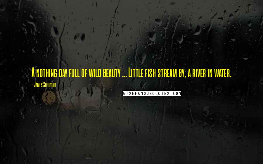 James Schuyler Quotes: A nothing day full of wild beauty ... Little fish stream by, a river in water.