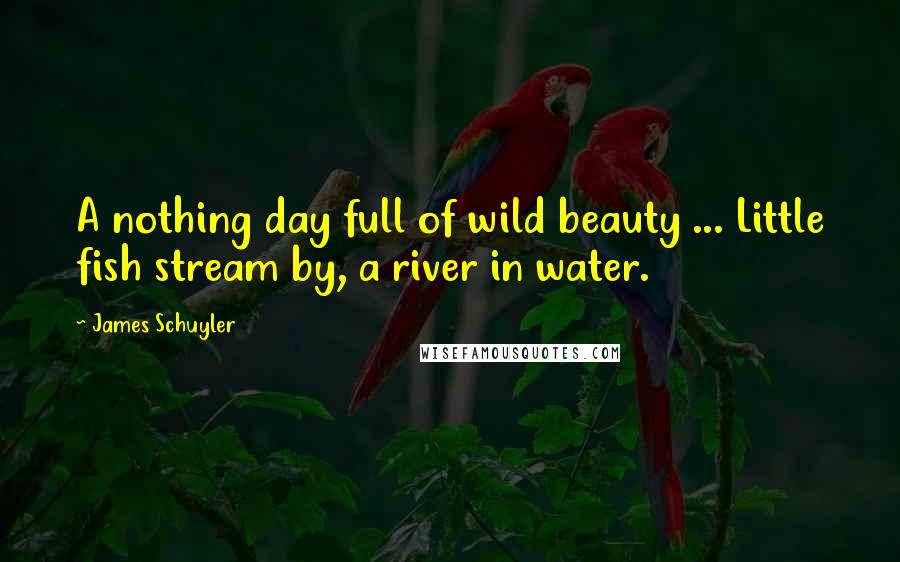 James Schuyler Quotes: A nothing day full of wild beauty ... Little fish stream by, a river in water.