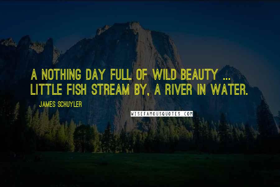 James Schuyler Quotes: A nothing day full of wild beauty ... Little fish stream by, a river in water.