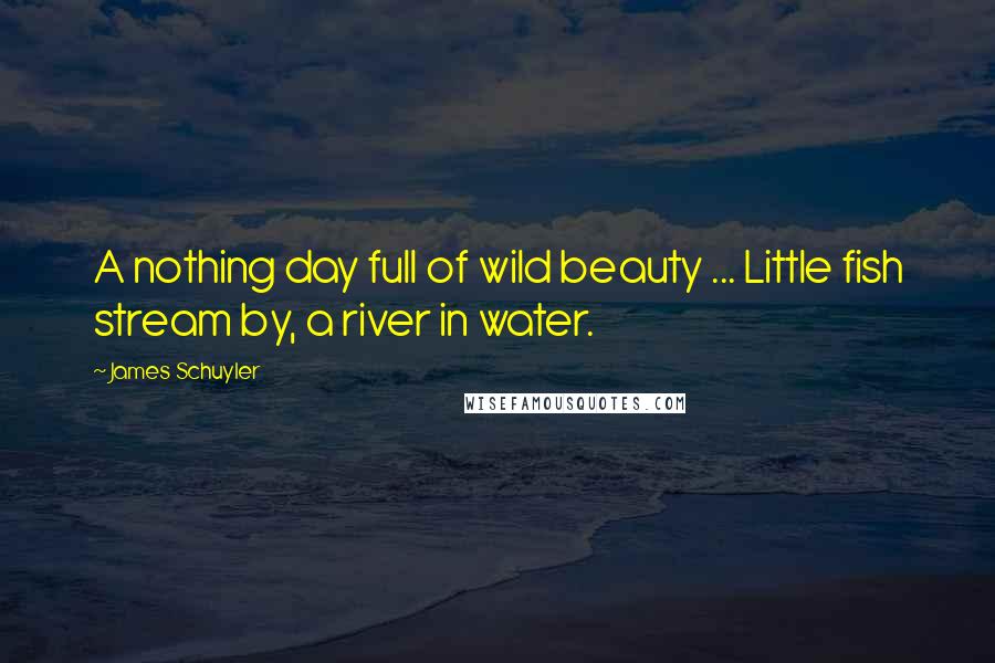 James Schuyler Quotes: A nothing day full of wild beauty ... Little fish stream by, a river in water.