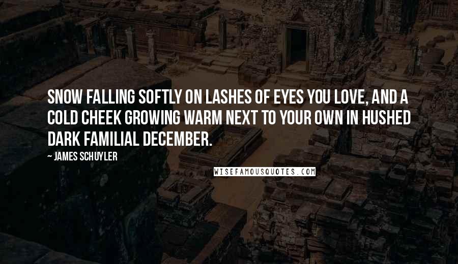 James Schuyler Quotes: Snow falling softly on lashes of eyes you love, and a cold cheek growing warm next to your own in hushed dark familial December.