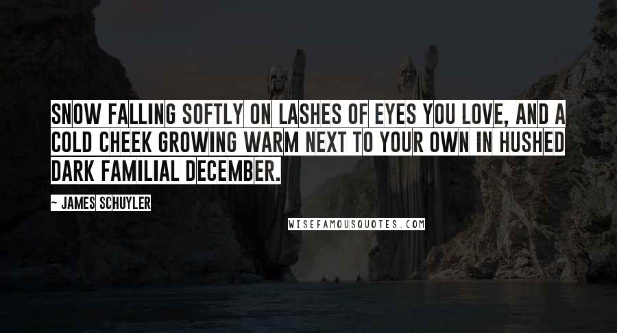 James Schuyler Quotes: Snow falling softly on lashes of eyes you love, and a cold cheek growing warm next to your own in hushed dark familial December.