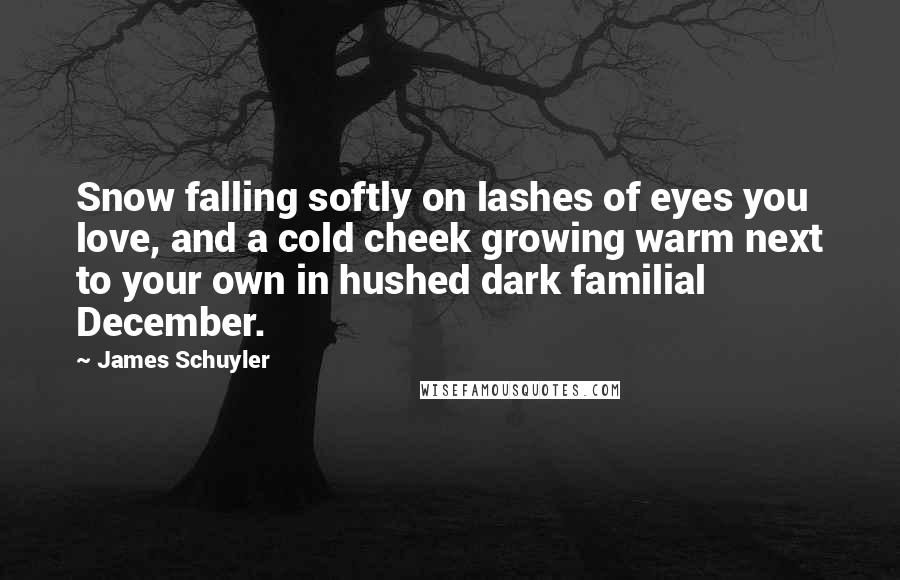 James Schuyler Quotes: Snow falling softly on lashes of eyes you love, and a cold cheek growing warm next to your own in hushed dark familial December.