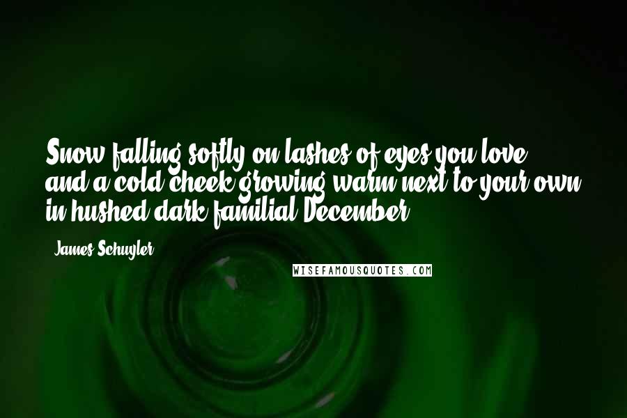 James Schuyler Quotes: Snow falling softly on lashes of eyes you love, and a cold cheek growing warm next to your own in hushed dark familial December.