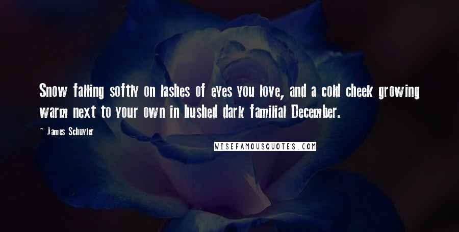 James Schuyler Quotes: Snow falling softly on lashes of eyes you love, and a cold cheek growing warm next to your own in hushed dark familial December.
