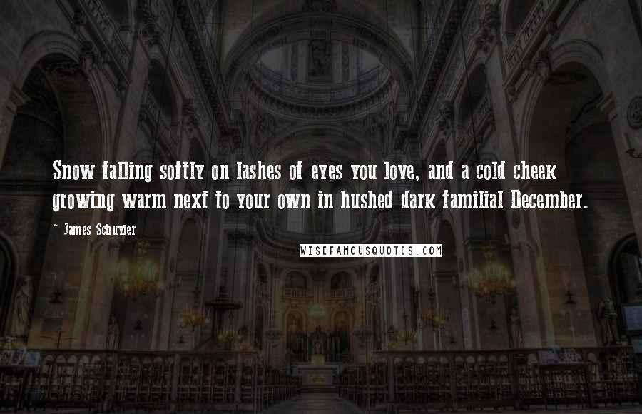 James Schuyler Quotes: Snow falling softly on lashes of eyes you love, and a cold cheek growing warm next to your own in hushed dark familial December.