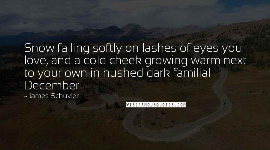 James Schuyler Quotes: Snow falling softly on lashes of eyes you love, and a cold cheek growing warm next to your own in hushed dark familial December.