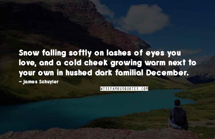 James Schuyler Quotes: Snow falling softly on lashes of eyes you love, and a cold cheek growing warm next to your own in hushed dark familial December.