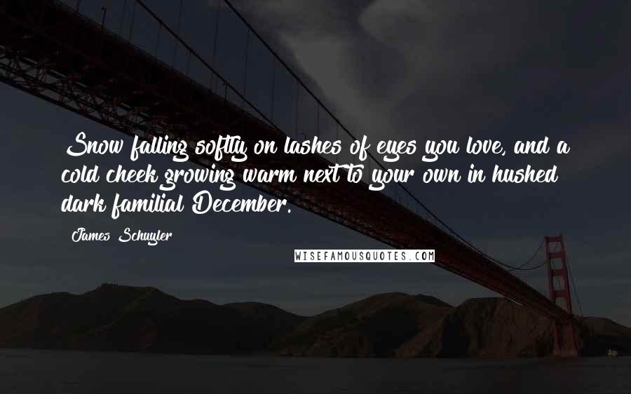 James Schuyler Quotes: Snow falling softly on lashes of eyes you love, and a cold cheek growing warm next to your own in hushed dark familial December.