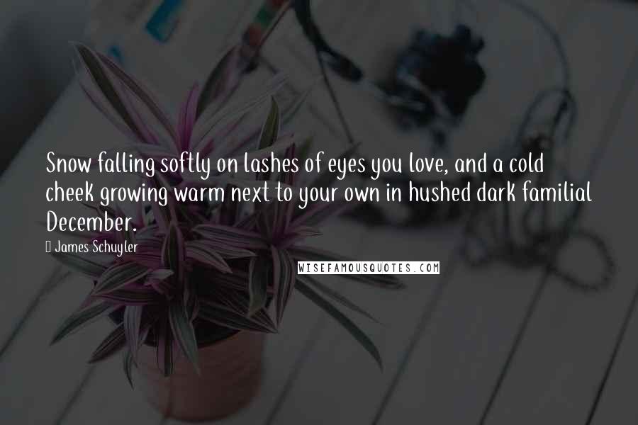 James Schuyler Quotes: Snow falling softly on lashes of eyes you love, and a cold cheek growing warm next to your own in hushed dark familial December.