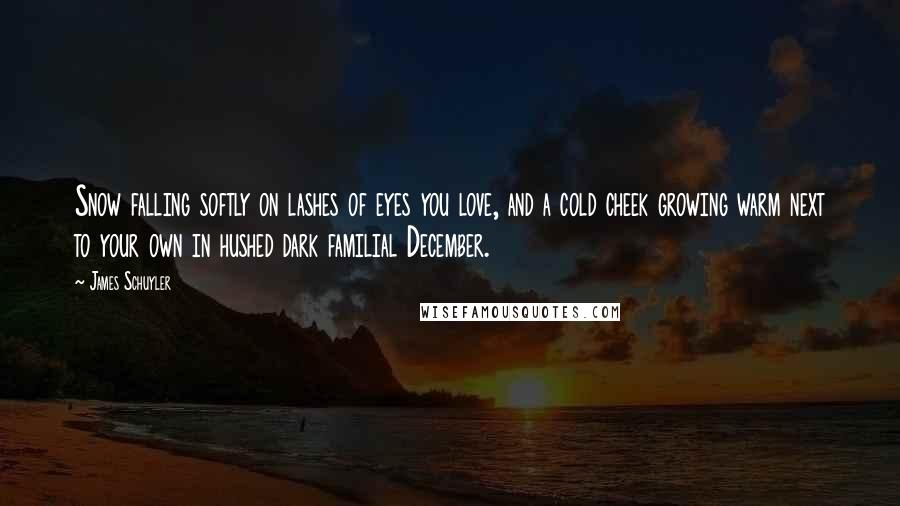 James Schuyler Quotes: Snow falling softly on lashes of eyes you love, and a cold cheek growing warm next to your own in hushed dark familial December.