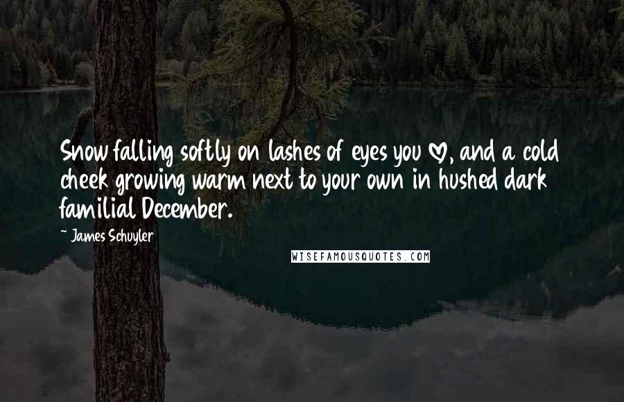 James Schuyler Quotes: Snow falling softly on lashes of eyes you love, and a cold cheek growing warm next to your own in hushed dark familial December.