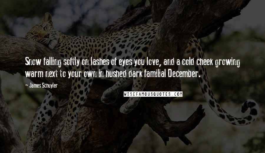 James Schuyler Quotes: Snow falling softly on lashes of eyes you love, and a cold cheek growing warm next to your own in hushed dark familial December.