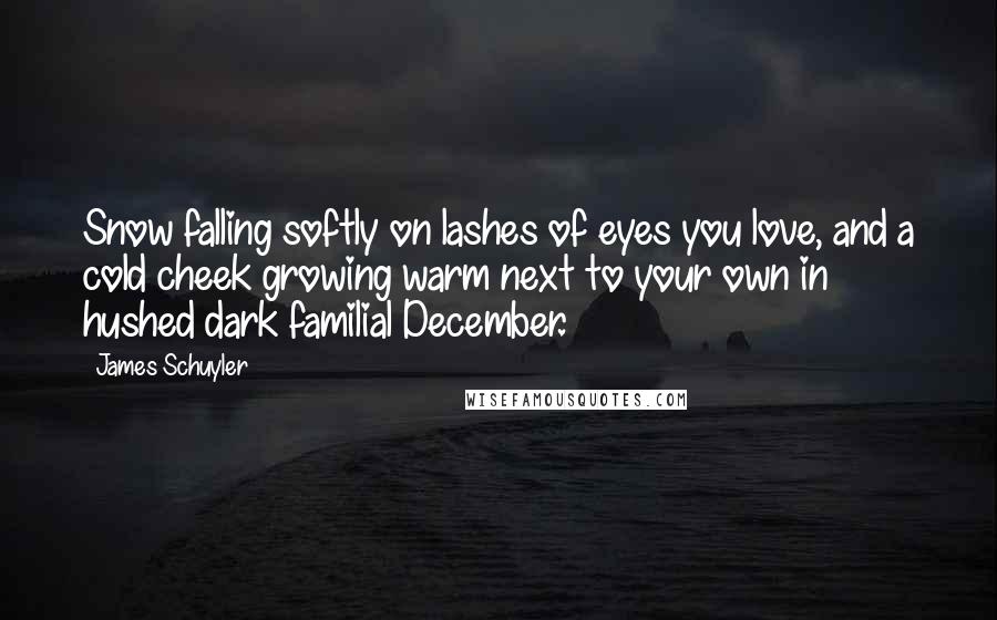 James Schuyler Quotes: Snow falling softly on lashes of eyes you love, and a cold cheek growing warm next to your own in hushed dark familial December.