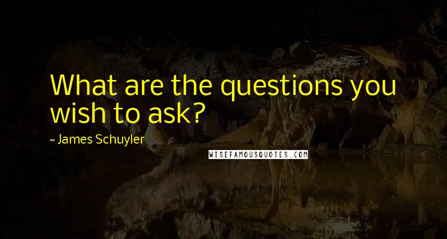 James Schuyler Quotes: What are the questions you wish to ask?