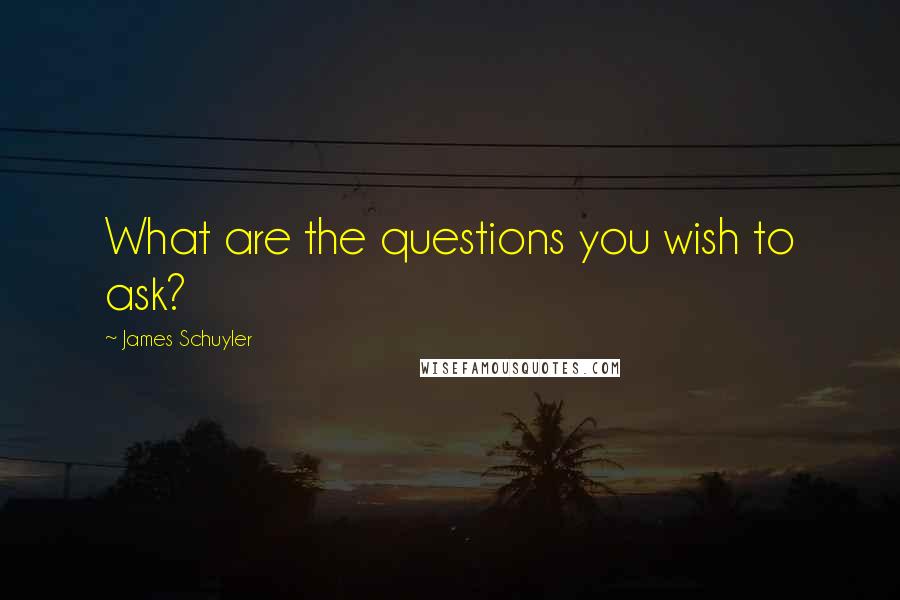 James Schuyler Quotes: What are the questions you wish to ask?