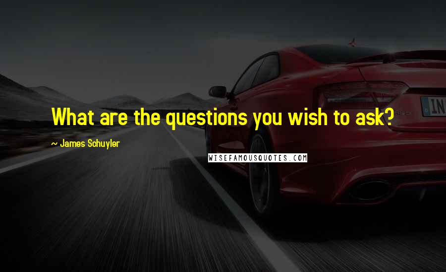 James Schuyler Quotes: What are the questions you wish to ask?