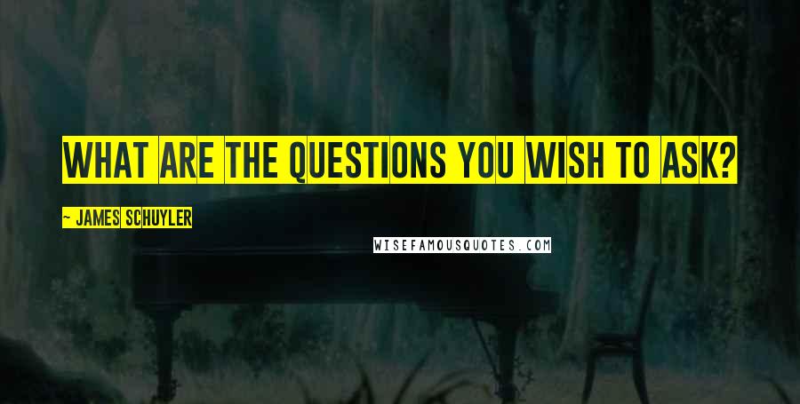 James Schuyler Quotes: What are the questions you wish to ask?