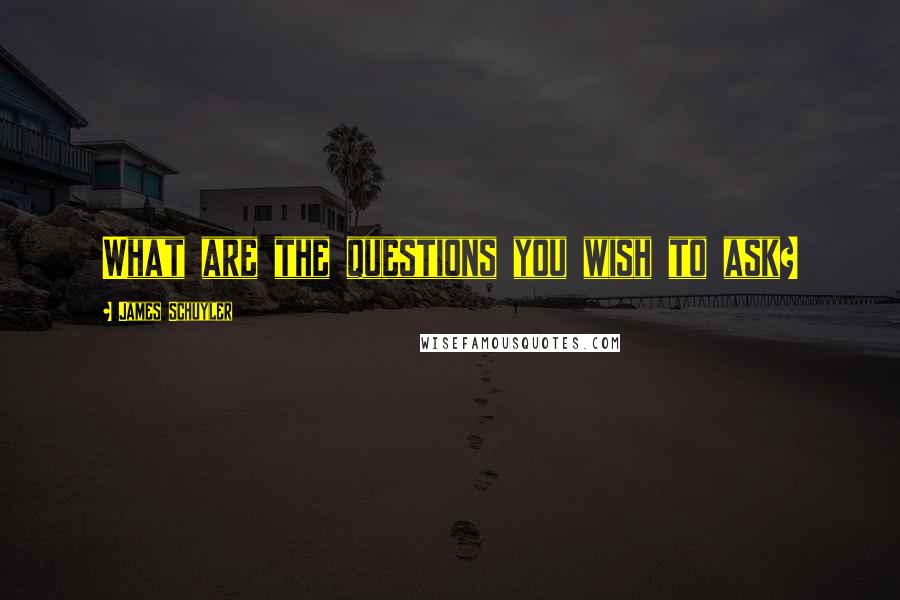 James Schuyler Quotes: What are the questions you wish to ask?