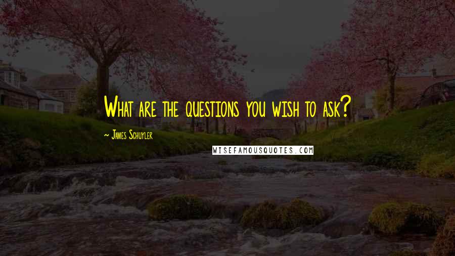 James Schuyler Quotes: What are the questions you wish to ask?