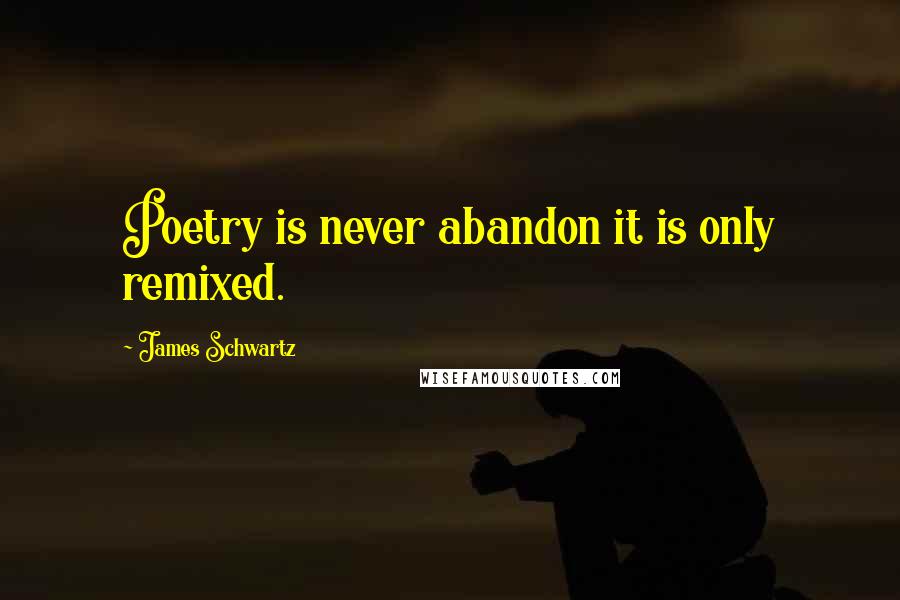 James Schwartz Quotes: Poetry is never abandon it is only remixed.