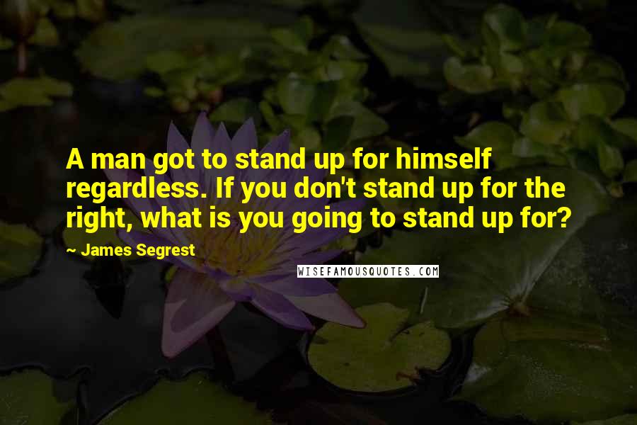 James Segrest Quotes: A man got to stand up for himself regardless. If you don't stand up for the right, what is you going to stand up for?