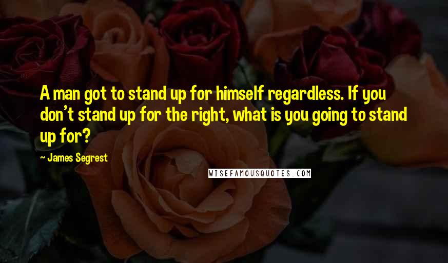 James Segrest Quotes: A man got to stand up for himself regardless. If you don't stand up for the right, what is you going to stand up for?