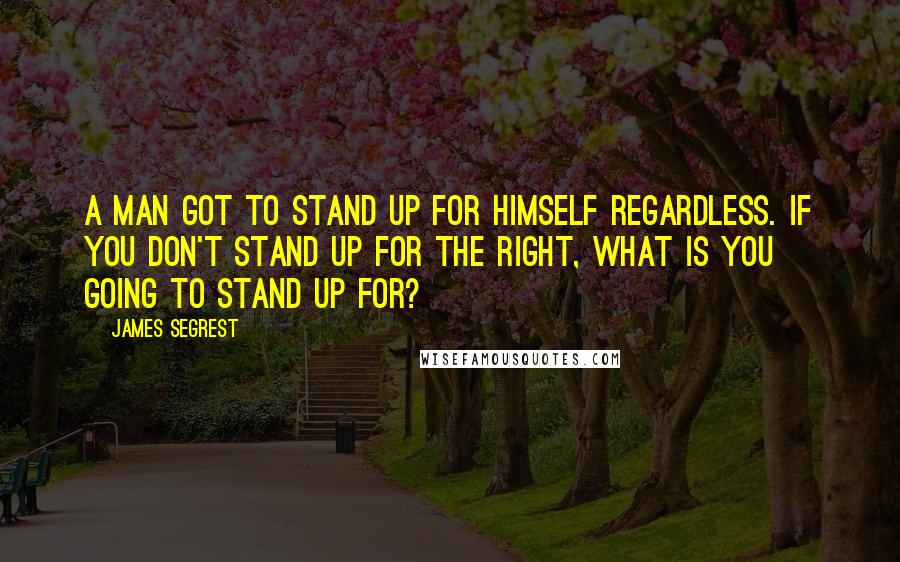 James Segrest Quotes: A man got to stand up for himself regardless. If you don't stand up for the right, what is you going to stand up for?