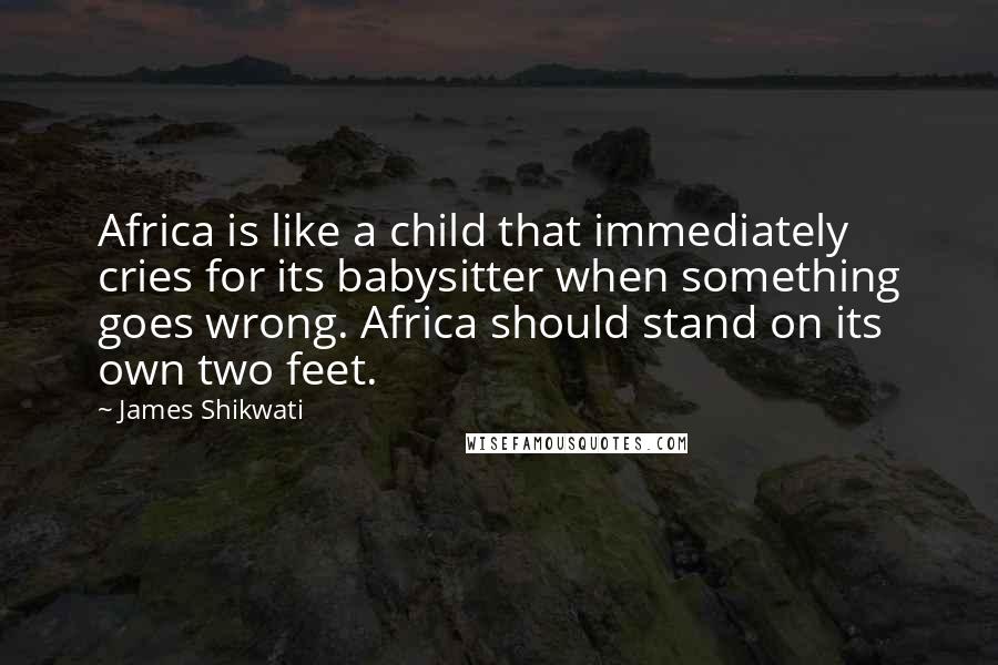 James Shikwati Quotes: Africa is like a child that immediately cries for its babysitter when something goes wrong. Africa should stand on its own two feet.