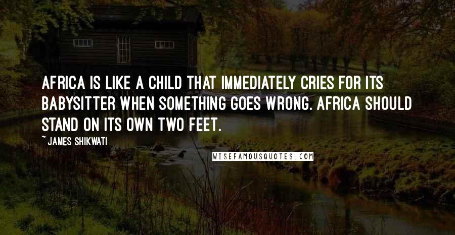 James Shikwati Quotes: Africa is like a child that immediately cries for its babysitter when something goes wrong. Africa should stand on its own two feet.