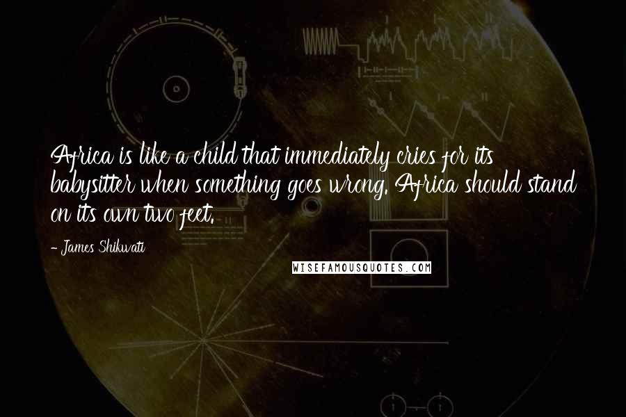 James Shikwati Quotes: Africa is like a child that immediately cries for its babysitter when something goes wrong. Africa should stand on its own two feet.