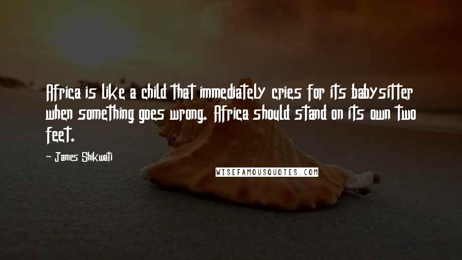 James Shikwati Quotes: Africa is like a child that immediately cries for its babysitter when something goes wrong. Africa should stand on its own two feet.