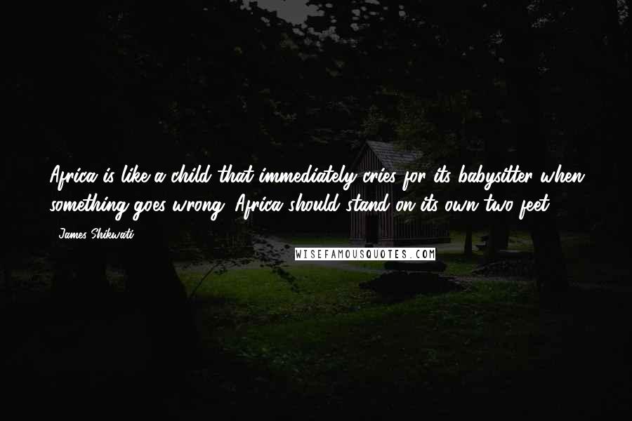 James Shikwati Quotes: Africa is like a child that immediately cries for its babysitter when something goes wrong. Africa should stand on its own two feet.