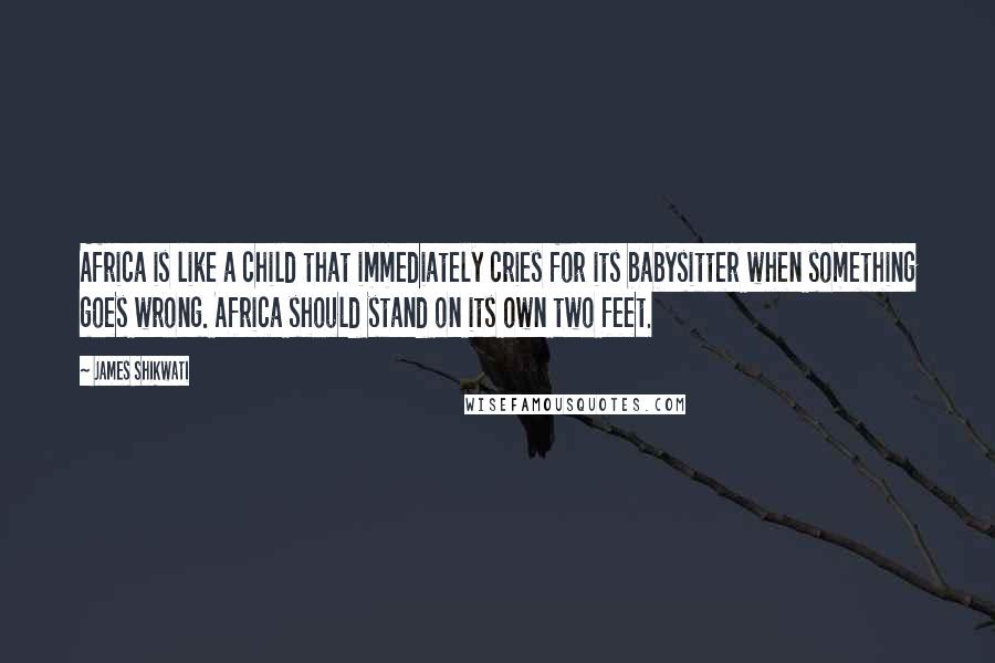 James Shikwati Quotes: Africa is like a child that immediately cries for its babysitter when something goes wrong. Africa should stand on its own two feet.