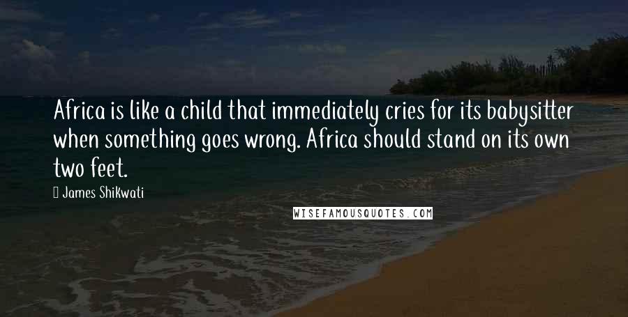 James Shikwati Quotes: Africa is like a child that immediately cries for its babysitter when something goes wrong. Africa should stand on its own two feet.