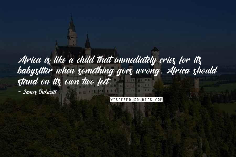 James Shikwati Quotes: Africa is like a child that immediately cries for its babysitter when something goes wrong. Africa should stand on its own two feet.