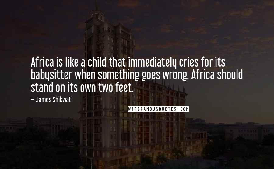 James Shikwati Quotes: Africa is like a child that immediately cries for its babysitter when something goes wrong. Africa should stand on its own two feet.