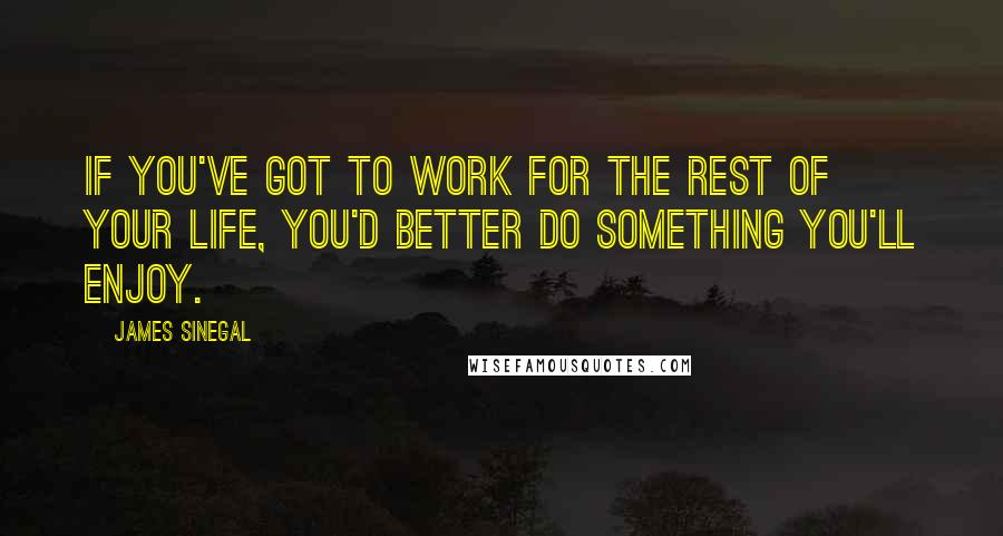 James Sinegal Quotes: If you've got to work for the rest of your life, you'd better do something you'll enjoy.